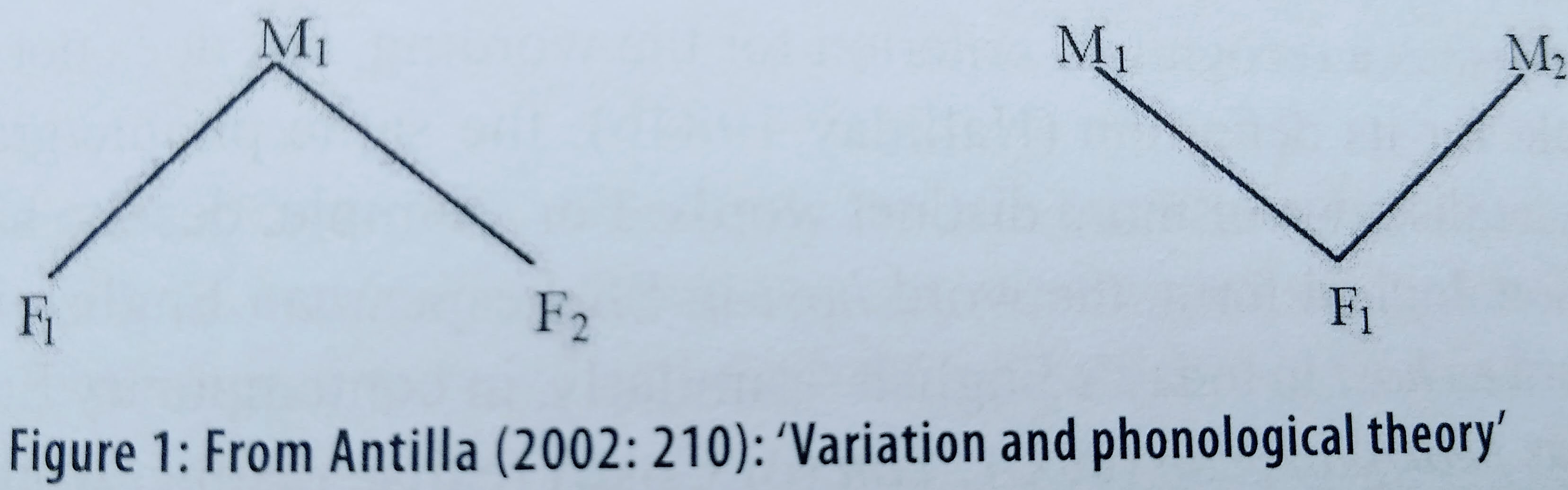 Figure 1: From Antilla (2002: 2010): ’Variation and phonological theory